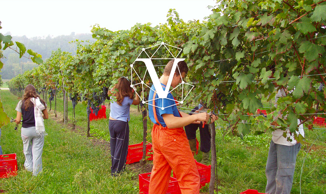 PROFESSIONALE SERALE SERVIZI COMMERCIALI - WEB ECONOMY