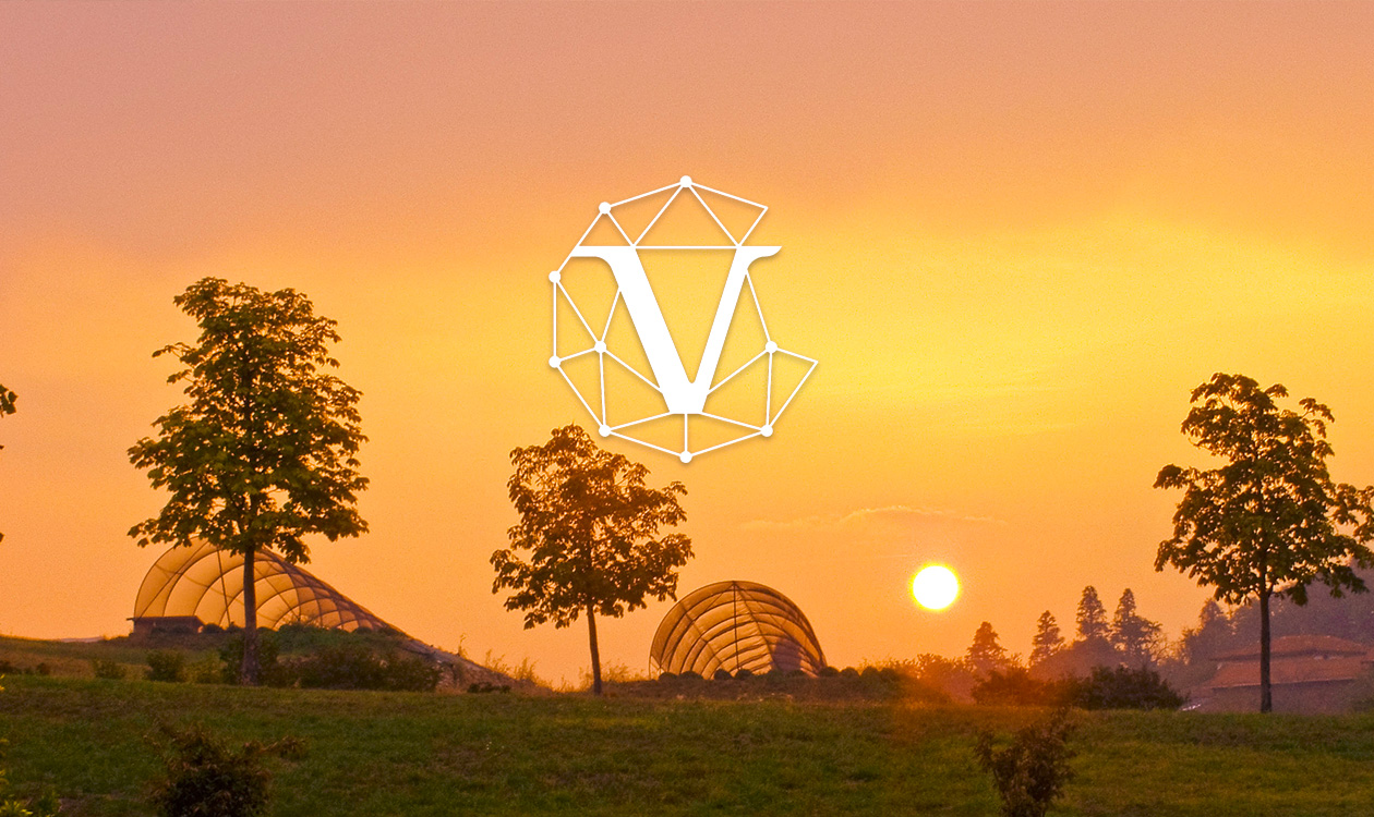 PROFESSIONALE SERVIZI COMMERCIALI - WEB ECONOMY