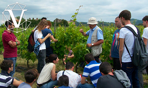 PROFESSIONALE AGRARIO